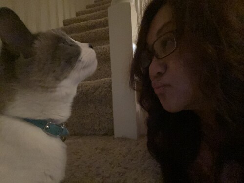 Connie Ortanez Profile