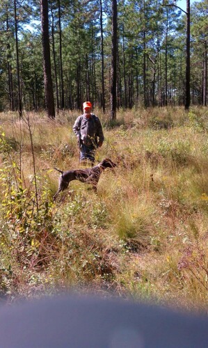 Gordon Peshek Profile