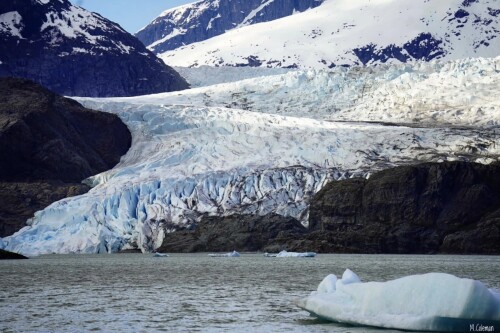 Barbara Logston Profile