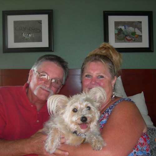 Cheryl Wetta Profile