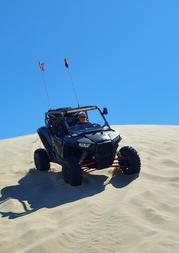 Cheryl Adams Profile