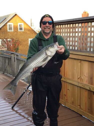 Terrie Stork Profile