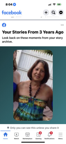 Dena Maenhout Profile