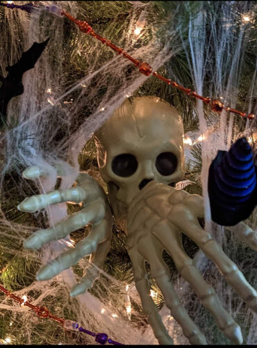 Darlene Trudeau Profile