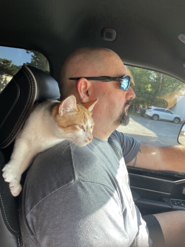 Lance Lanning Profile