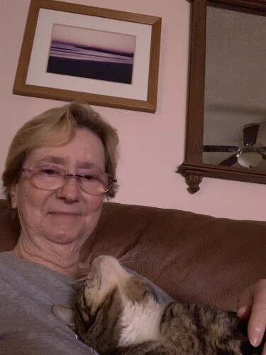 Elizabeth Bounakes Profile