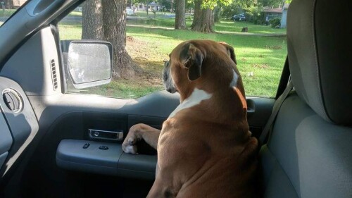 David Taylor Profile