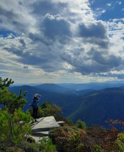 Crystal Cline Profile