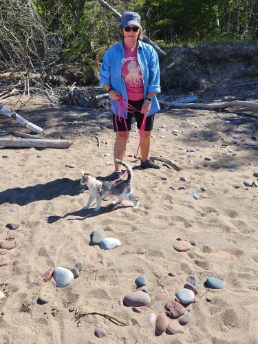 Diane Newman Profile