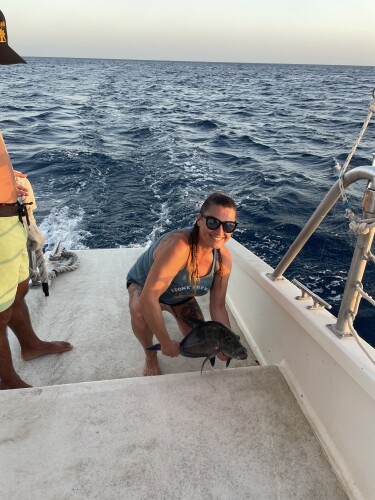 Crystal Price Profile