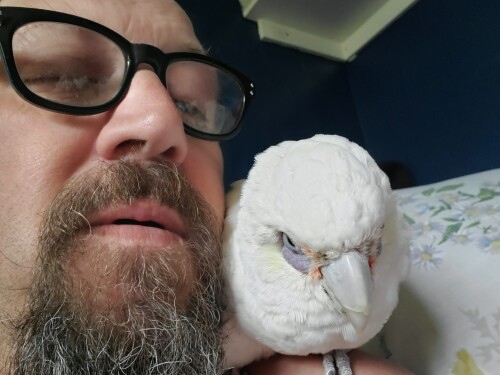 Tyler Hammersley Profile