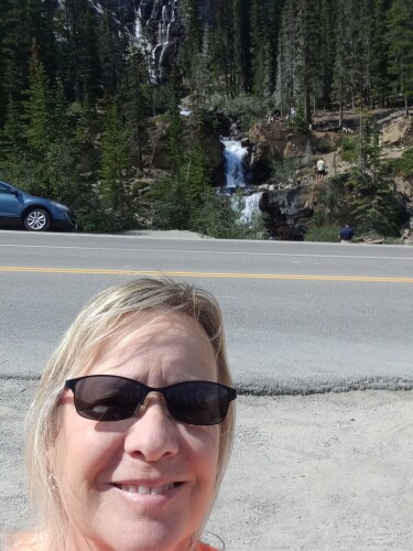 Terrie Nicholson Profile