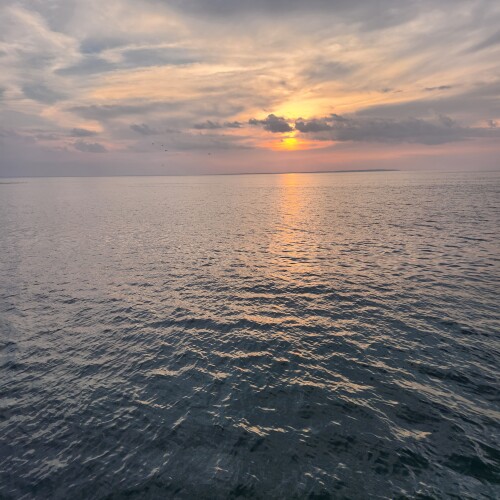 Erica Tubatan Profile