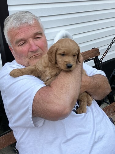 David Wagner Profile