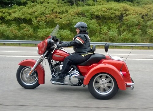 susan macdonald Profile