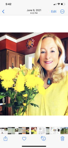 Linda Hohertz Profile