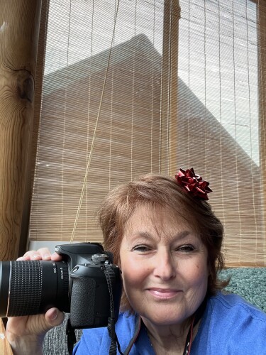 Cindi Hopper Profile