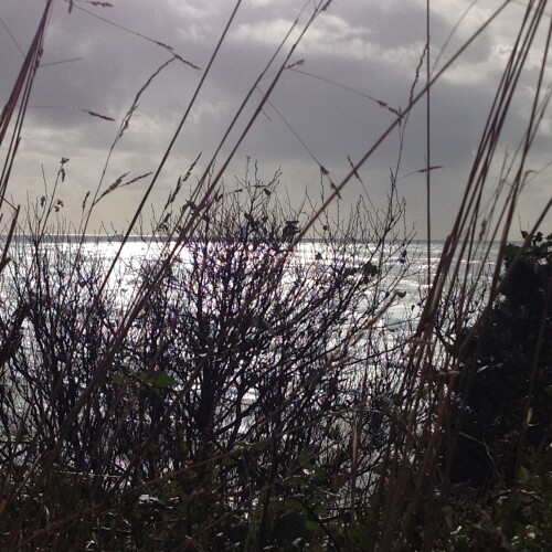 Laura Farmer Profile