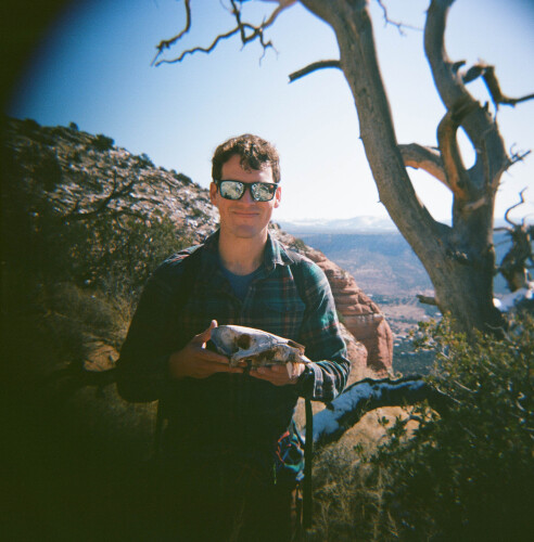 Dylan Anderson Profile