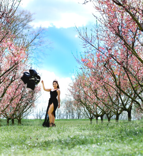 Paloma Castillo Profile