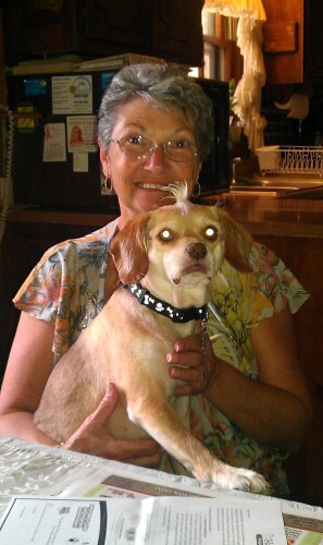 Sandra Schultz Profile