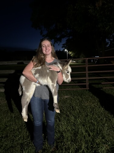 Alexia Reynolds Profile