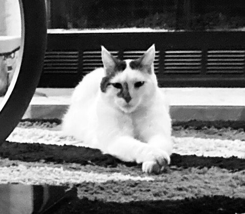 George Beyer Profile