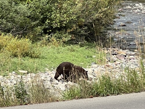 Cynthia Burgard Profile