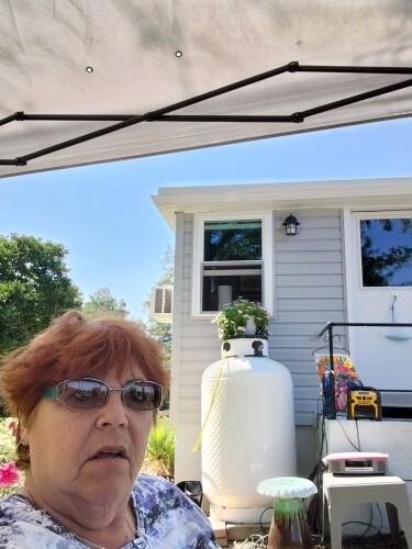 Cindy Gilbert Profile