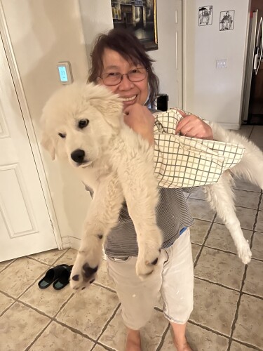 Estela Galdones Profile