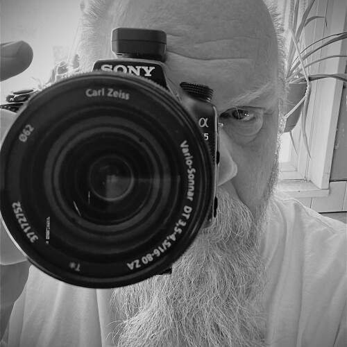 Darrell Maxwell Profile