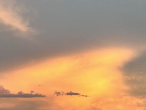 Christine Neuhardt Profile