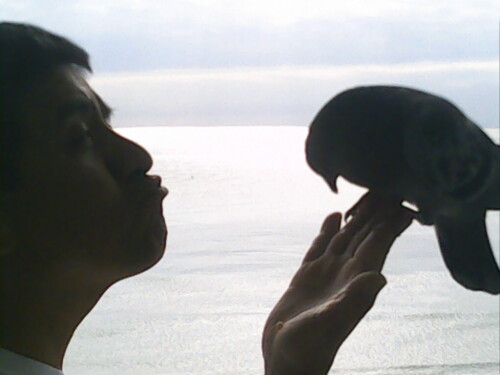 Jeronimo Aguirre Profile