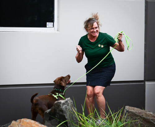 Julie Loudon Profile