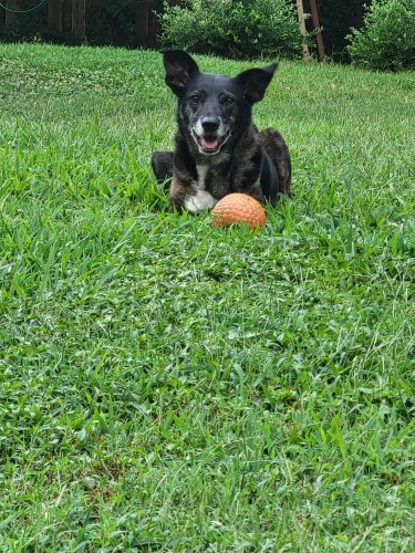 Culp8 Richard j Profile