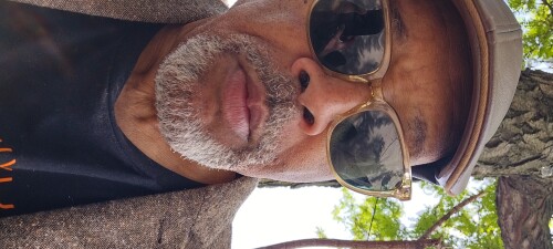 Louis Hamilton Profile