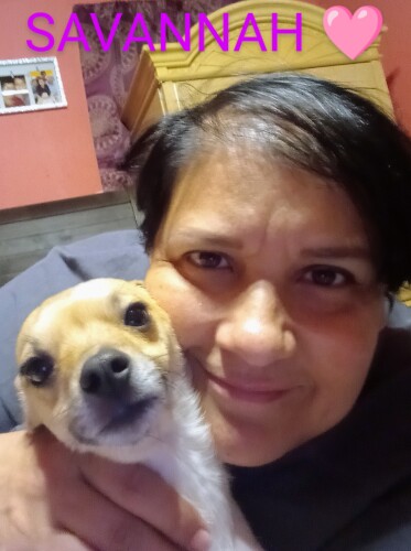 Cristina Hinojosa Profile