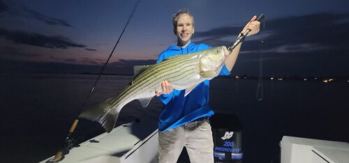 Taylour Iovene Profile