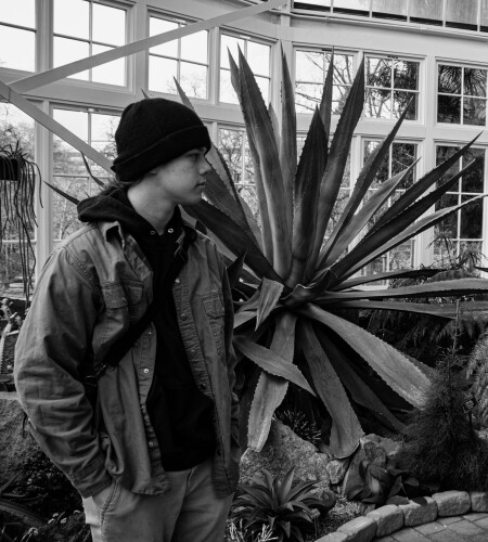 Austin Scheel Profile