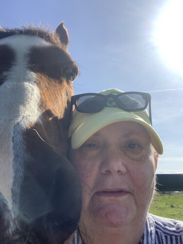 Debra Schwartz Profile