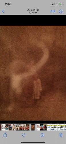 Vidna Cintron Profile