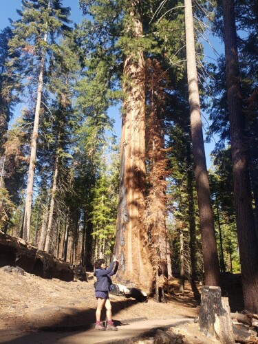 Maria Reynoso Profile