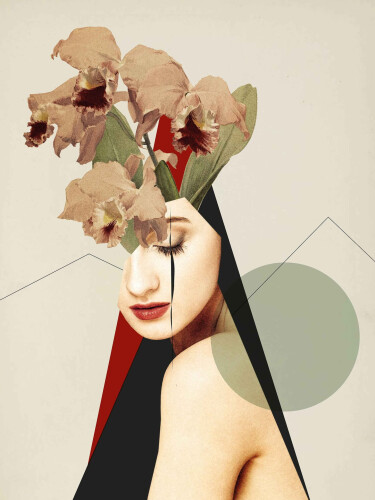 Nino Kokolia Profile