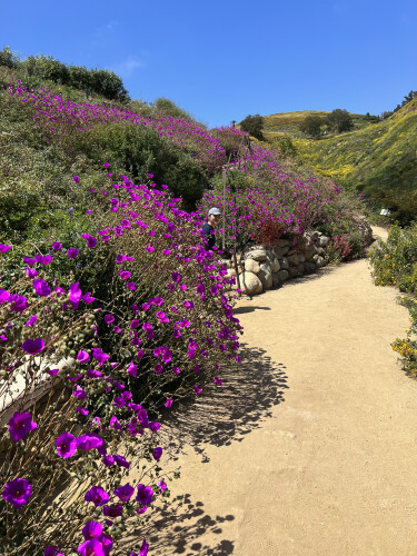 Janina Biascan Profile