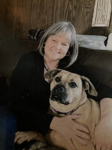 Cindy Stevens Profile