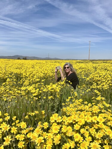 lynn agabashian Profile