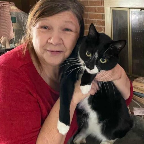 Pamela Wilkerson Profile