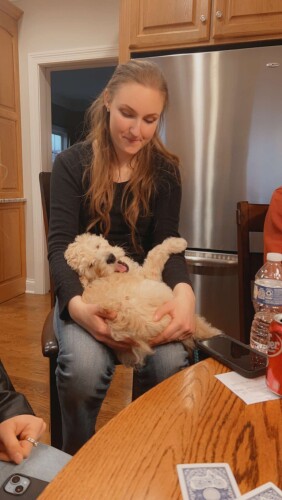 Rachel Bauspies Profile