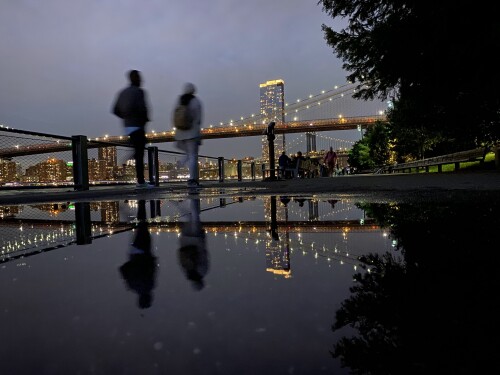 WILLIAM BEDOYA Profile