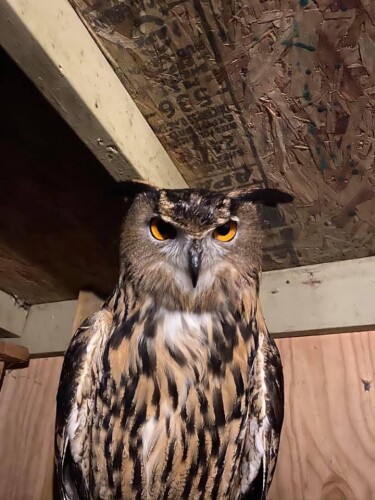 Beverly Kesecker Profile